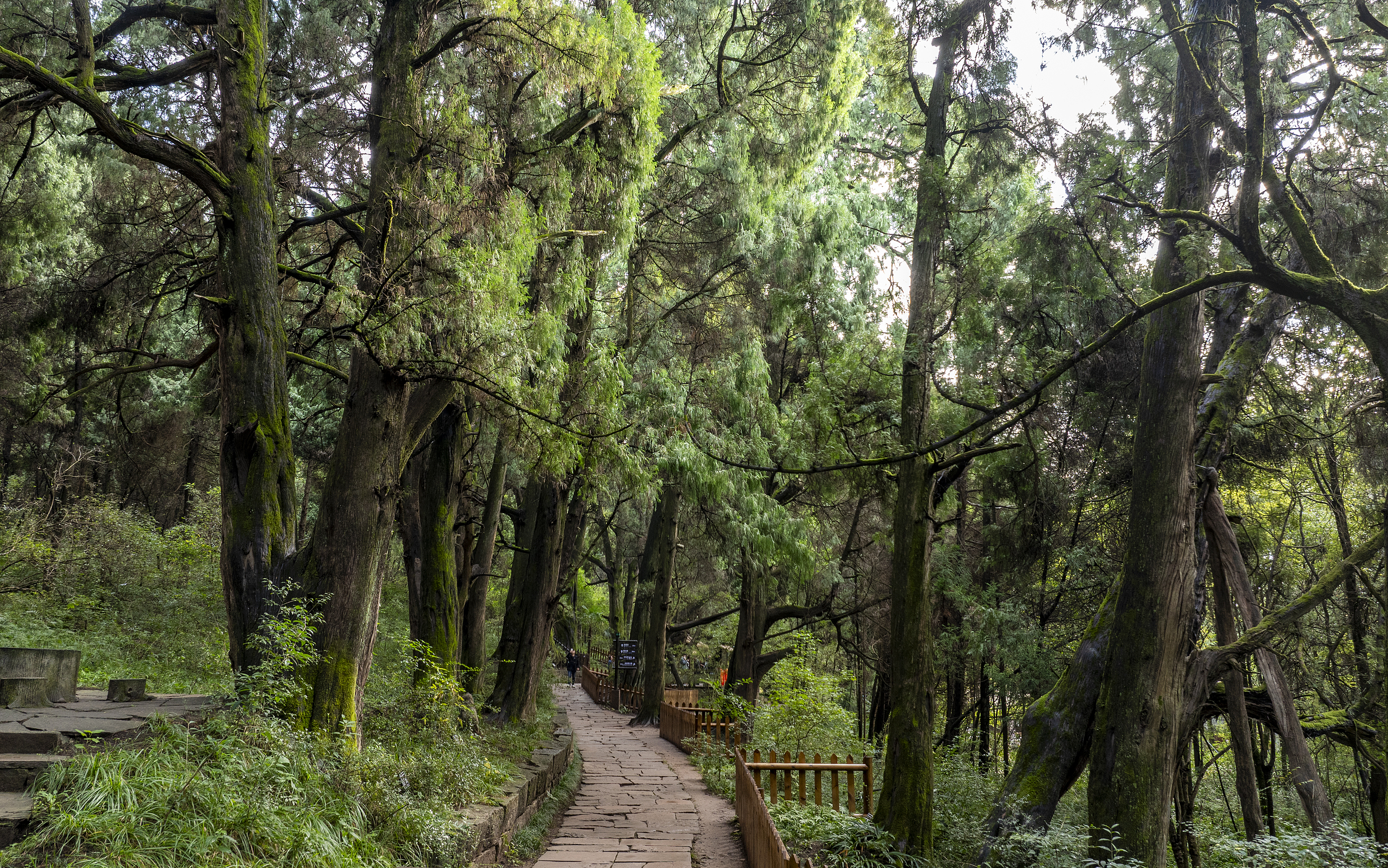 1-Day Jiange Tour: Explore Ancient Jianmenguan, Discover Cuiyun Corridor