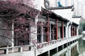 4-Day Hanzhong Tour: Historical and natural wonders, Hanzhong's cultural charm