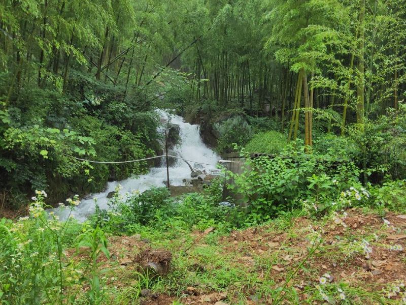 莫干山石门卡攻略-石门卡门票价格多少钱-团购票价预定优惠-景点地址