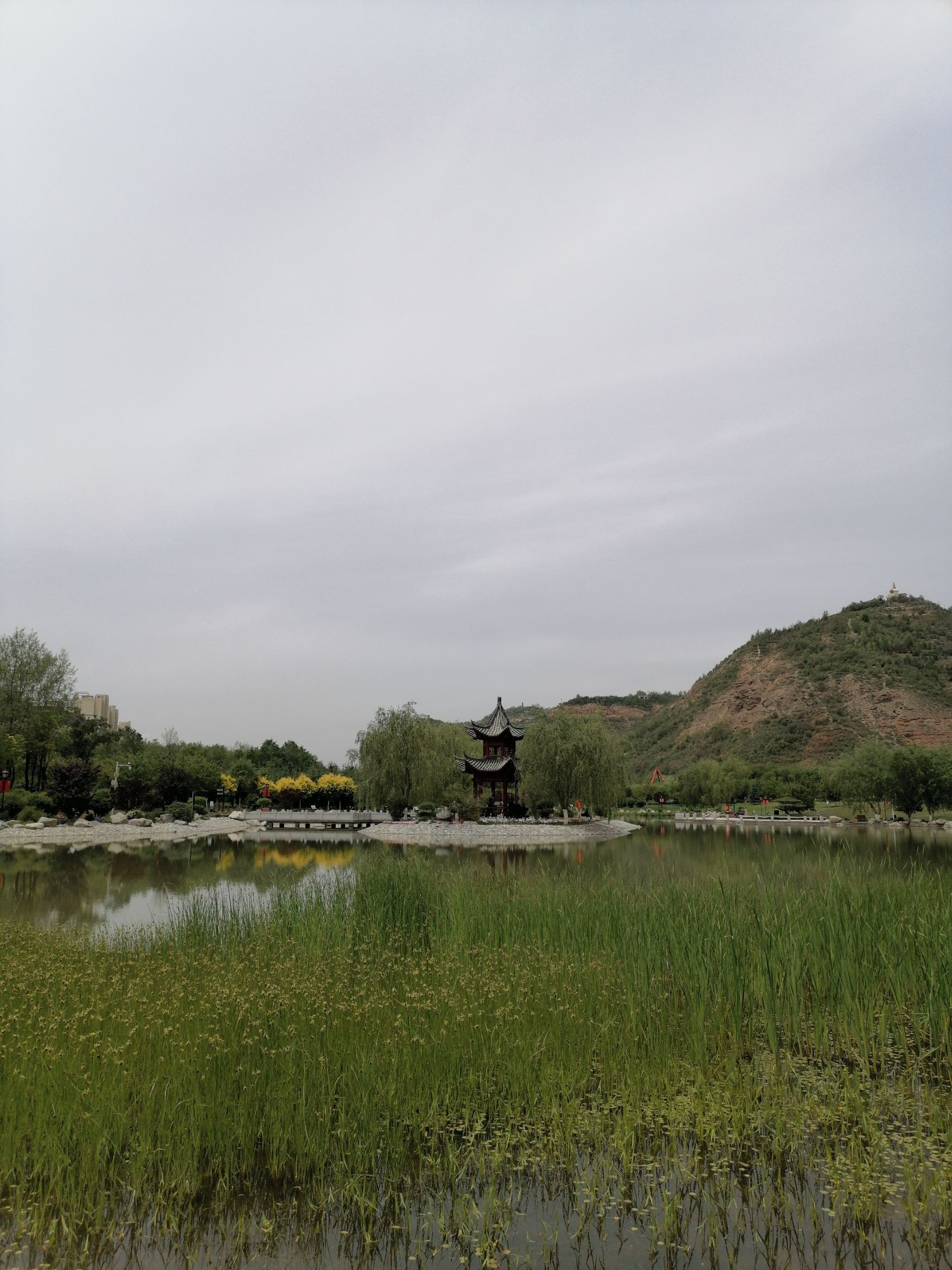 【携程攻略】西宁西宁北山公园景点,前段时间去西宁市北山公园,那里