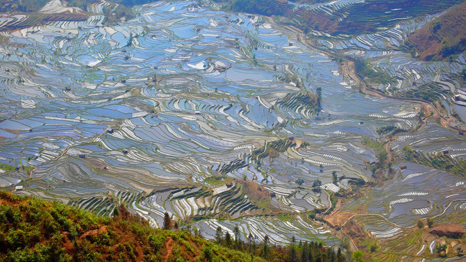 昆明旅游网