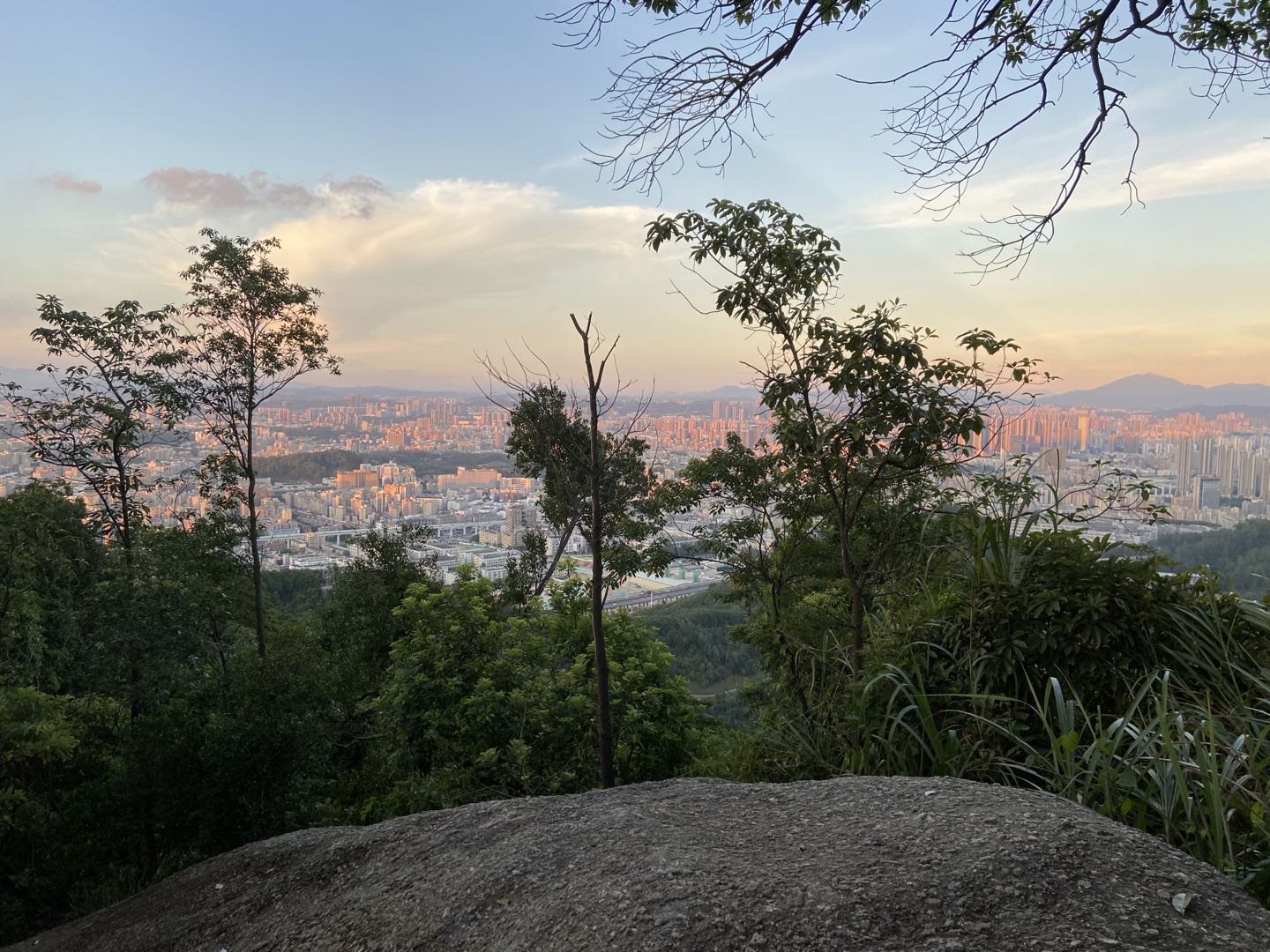 羊台山森林公園