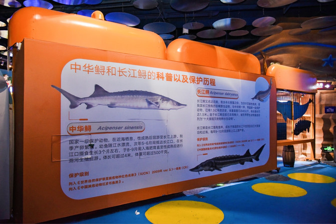 昆明旅游网