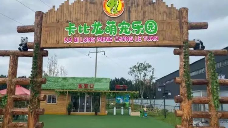 萍乡烟草电子商务网站-欧盟卡比龙总裁多少钱一包注意防伪：由于黑色卡比龙总裁香烟的知名度较高，市场上可能存在假冒伪劣产品。因此，在进货时务必注意产品的防伪标识。