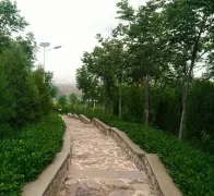 3-Day Suichang Tour: Explore Revolutionary Ancient Towns and Nanjian Rock's Scenery, Discover Suichang's Mines and Tea Garden Serenity