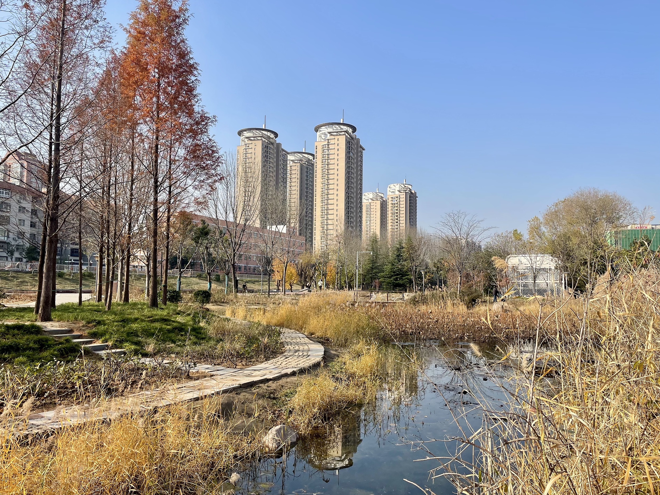 3-Day Zhengzhou Tour: Nature at Zijing Mountain Park, Zen at Shaolin Temple