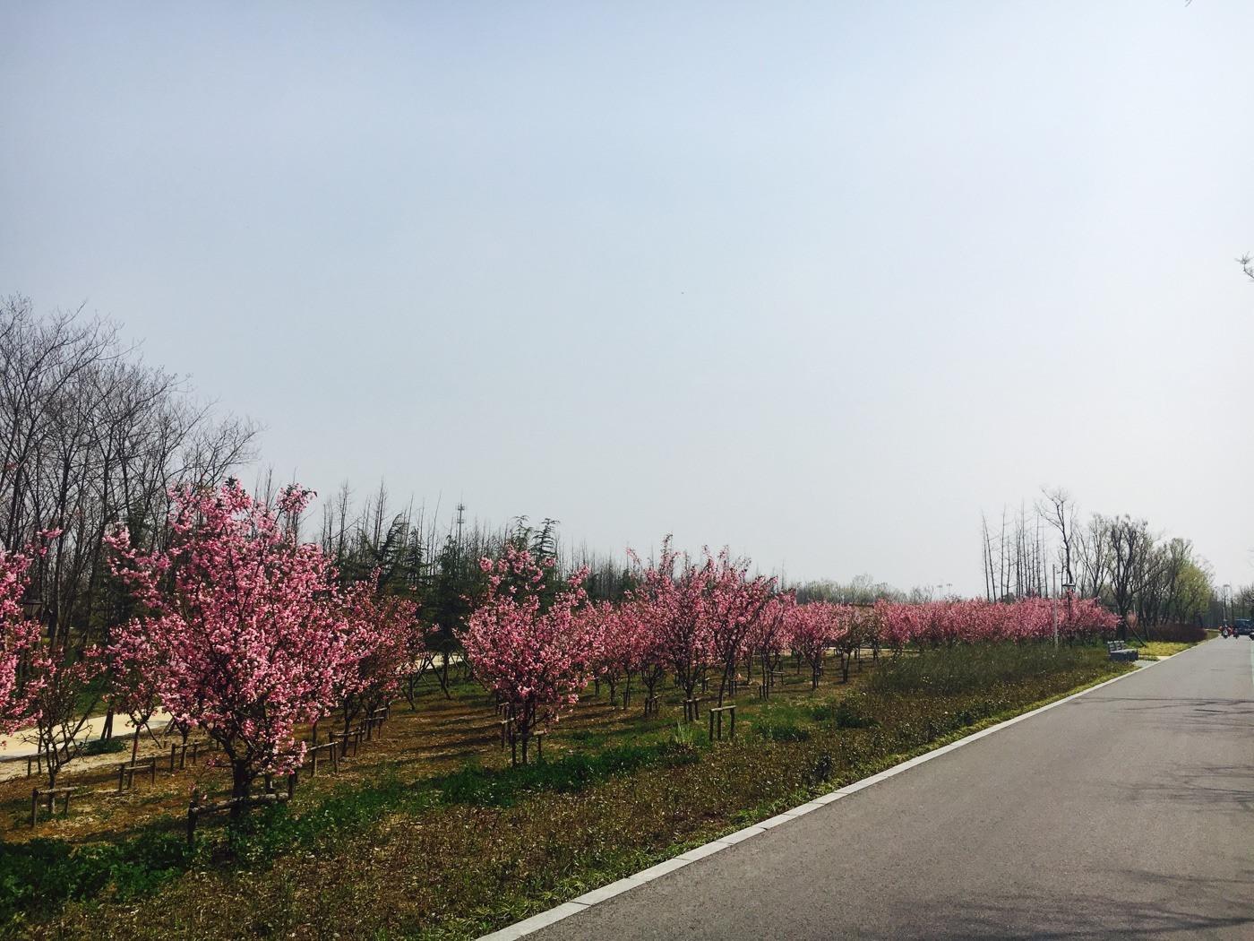 扬州廖家沟湿地公园攻略-廖家沟湿地公园门票价格多少钱-团购票价预定