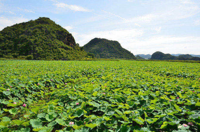 昆明旅游网