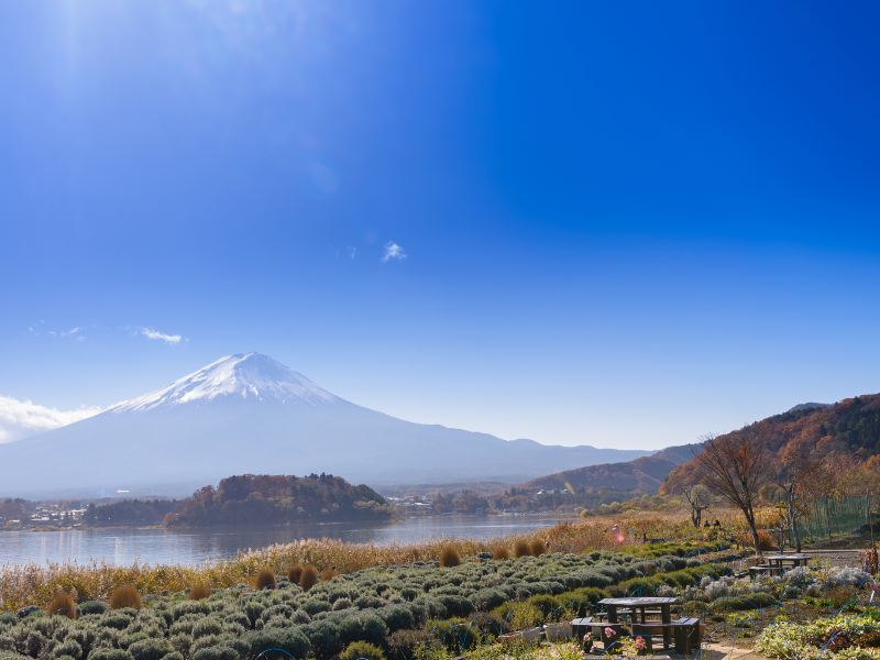 富士山河口湖香草馆游玩攻略-河口湖香草馆门票多少钱/价格表-团购