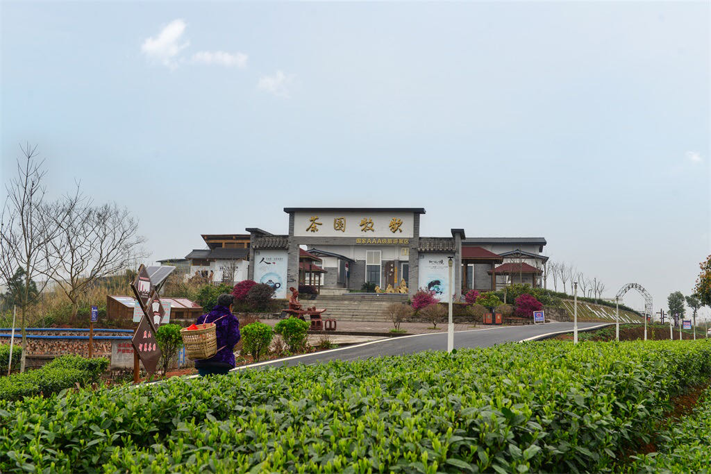 宜賓翠屏山公園好玩嗎,宜賓翠屏山公園景點怎麼樣_點評_評價【攜程