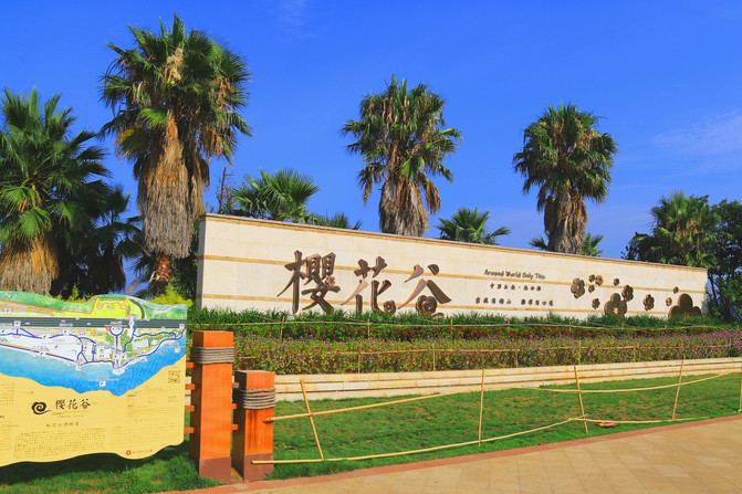 昆明旅游网