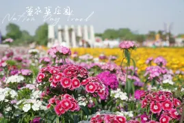 3-Day Xiangyang Tour: Explore Mi Fu Memorial Temple's historical charm and The City of Tang Dynasty's cinematic allure