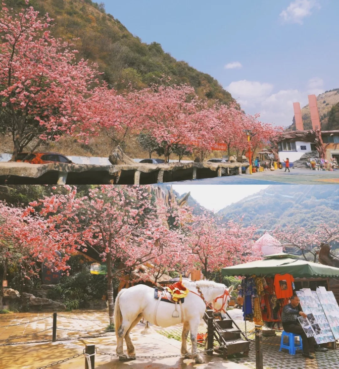 昆明旅游网