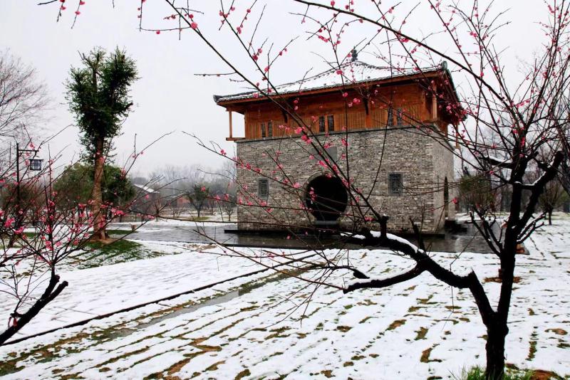 3-Day Yushan Tour: Loudi Village and Qili Street's charm, Sanqingshan's natural beauty and Wuyuan's ancient elegance