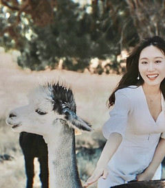 [目的地游记图片] 在澳大利亚吹着夏天的海风，抱考拉喂袋鼠，尽情拥抱大自然～