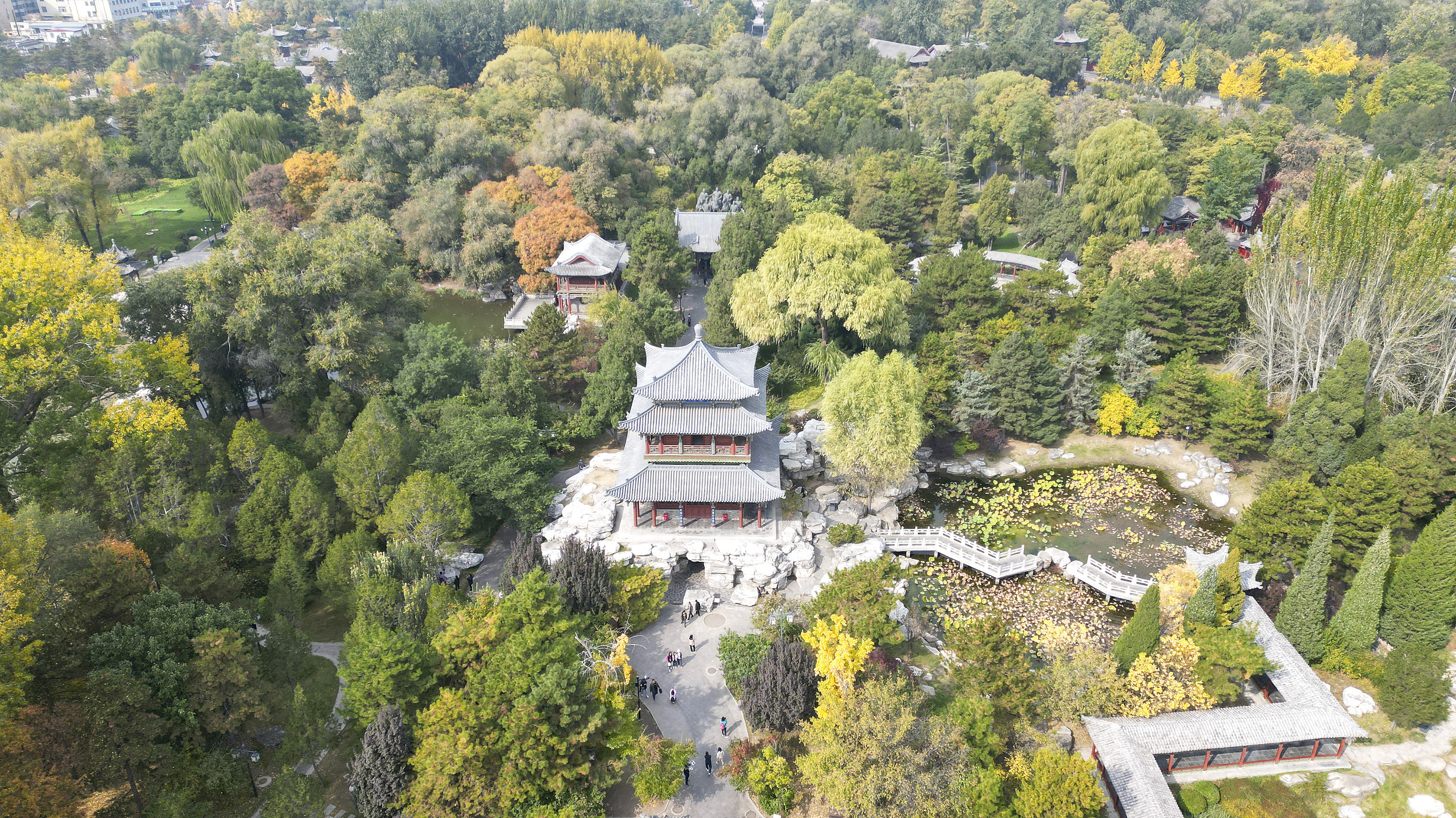 太原2日遊:柳巷的風情與晉祠的古韻,蒙山大佛