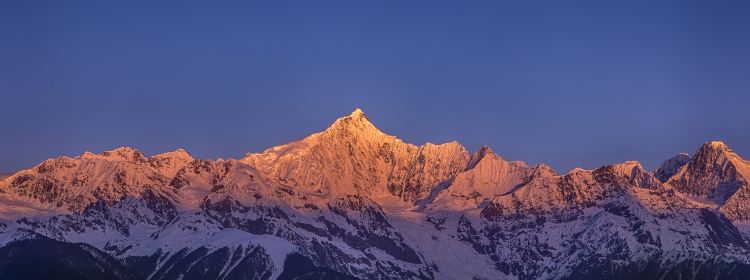 496155731