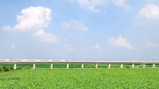 3-Day Bengbu Tour: From museums to wetland parks, a perfect blend of culture and nature