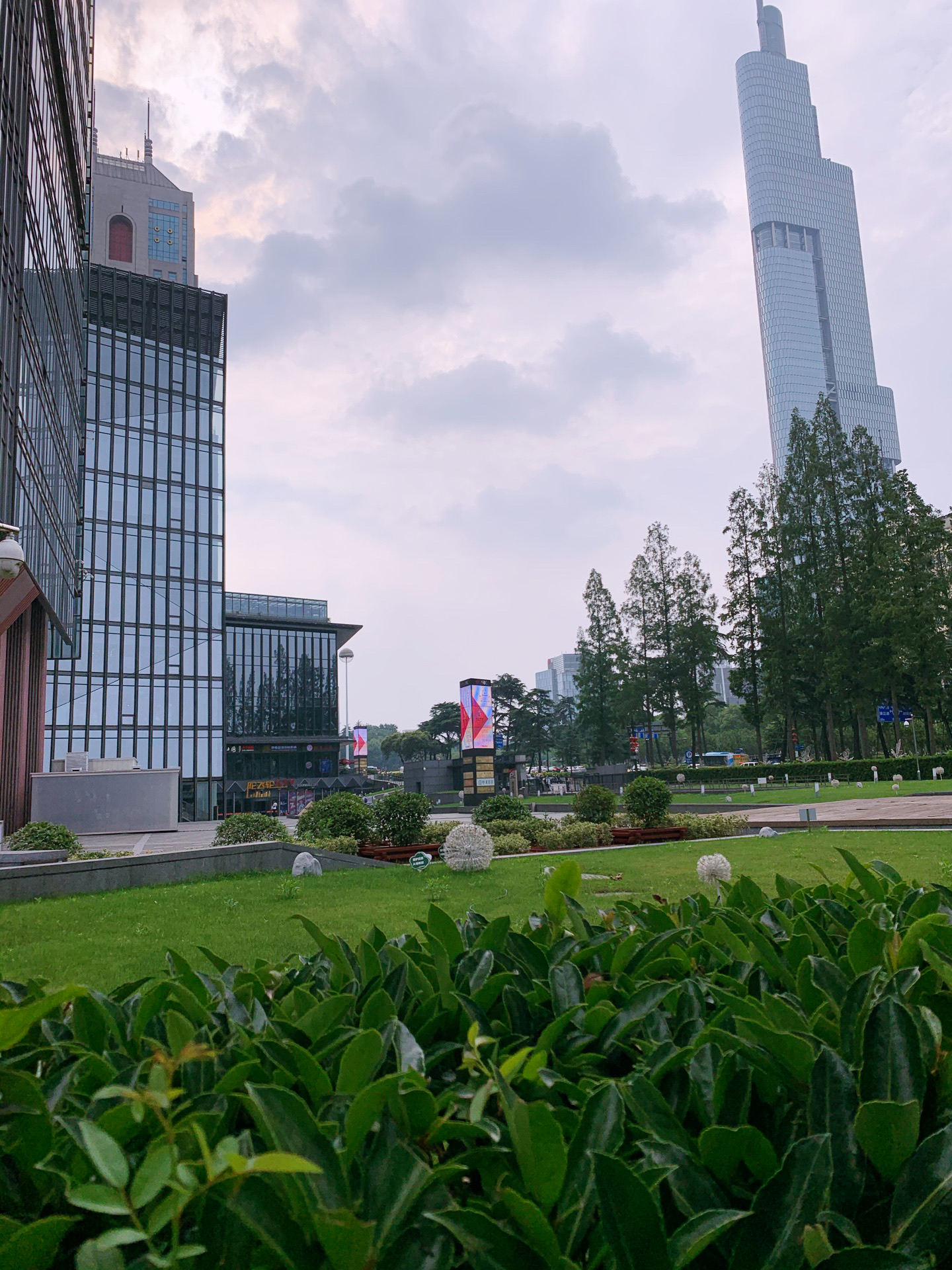 【携程攻略】南京荔枝广场购物,在南京鼓楼的东南角,有家荔枝广场,是