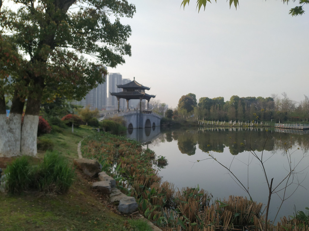 河南省郑州市象湖生态文化公园规划设计_北林地景