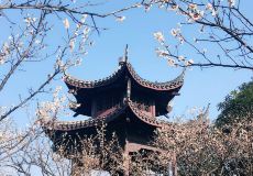 超山青龙寺超度-潮汕青龙古庙护厝 超山青龙寺超度-潮汕青龙古庙护厝