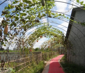Siji Ecology Agriculture Garden