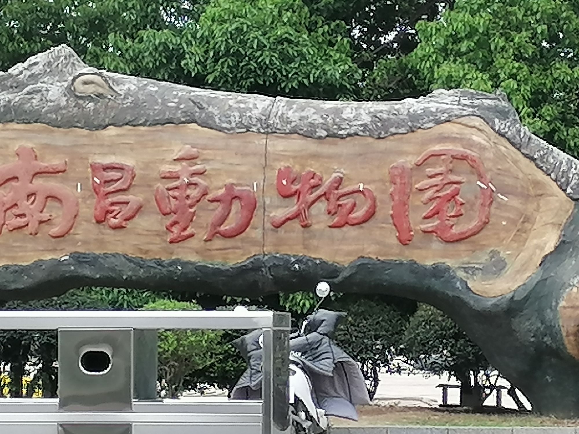 江西南昌动物园图片