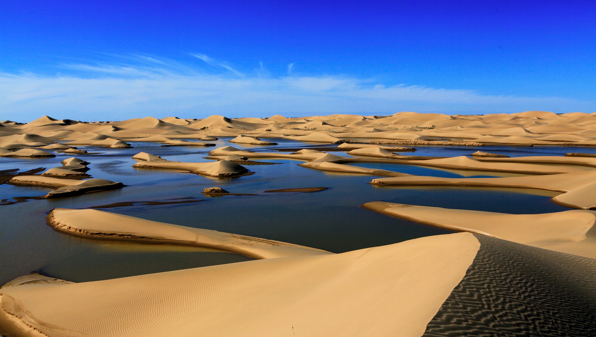 3-Day Ejin Banner Tour: Populus Euphratica's scenic beauty, Hei Cheng's historical charm