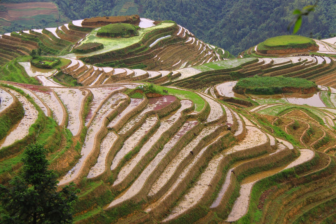 昆明旅游网