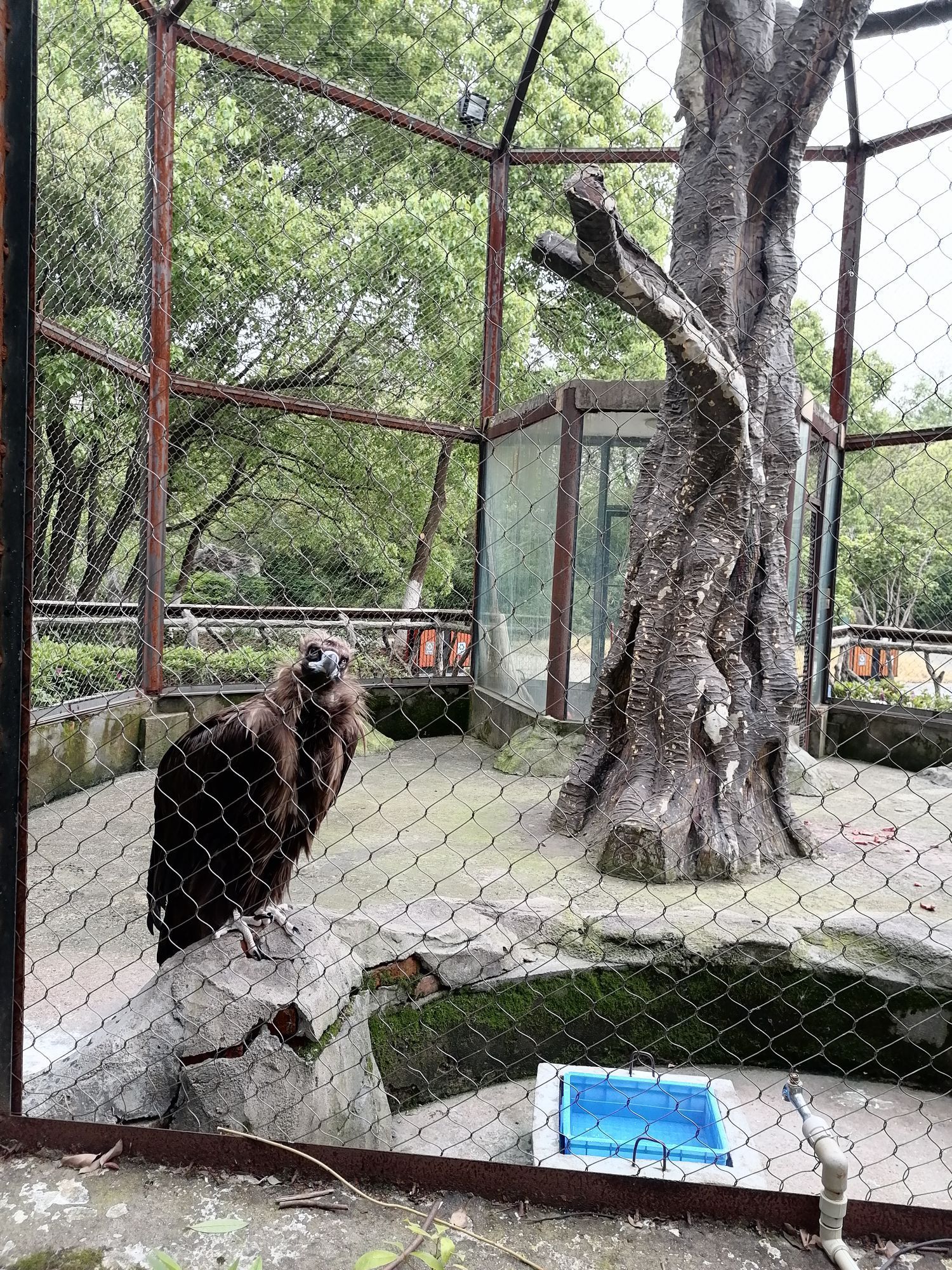 江西南昌动物园图片