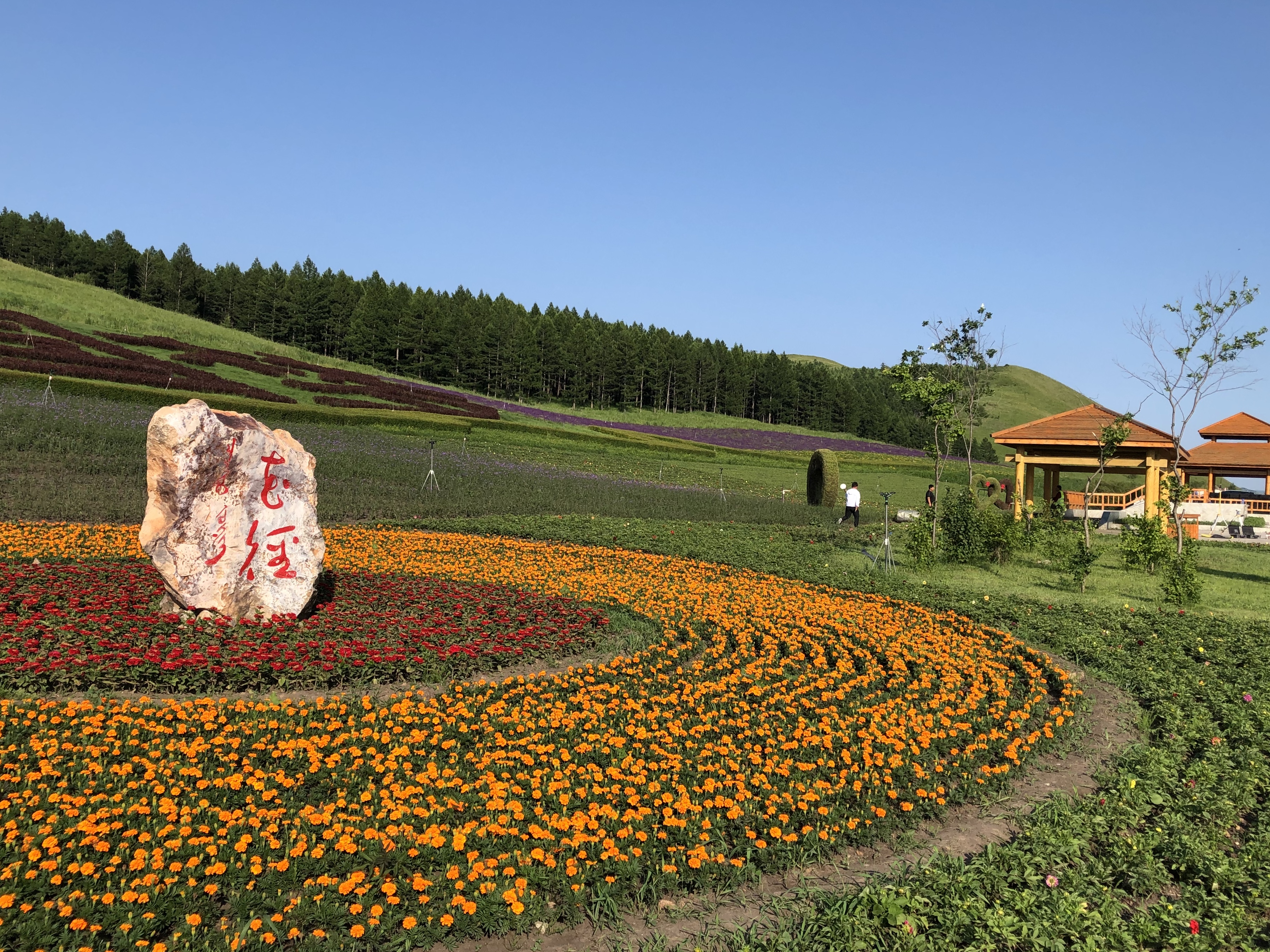 请问现在去呼伦贝尔,从阿尔山出发,一个是走绥满线,一个走331国道