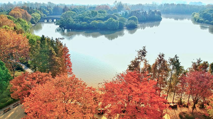 上海野生动物园(Shanghai Wild Animal Park)