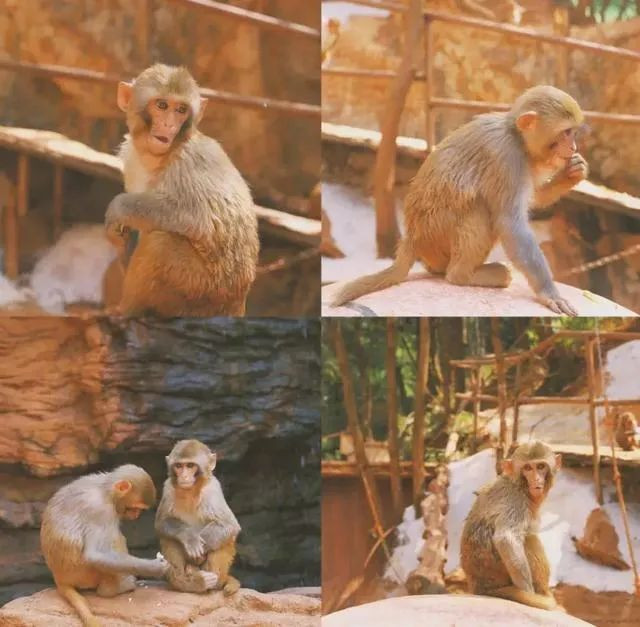 昆明旅游网