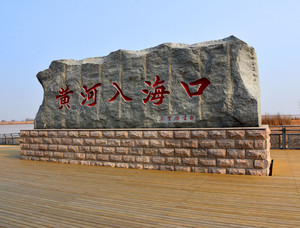 东营游记图文-山东旅游：自驾两访黄河入海口散记（图）