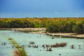 1-Day Kuytun Tour: Joy at Xigongyuan, Nature at Kelamayi Wetlands