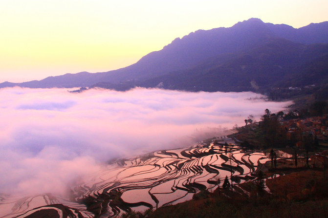 昆明旅游网