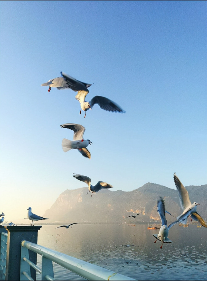 昆明旅游网
