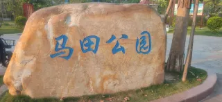 2-Day Sihui Tour: Zhenshan Scenic Beauty, Qishi River's Natural Charm