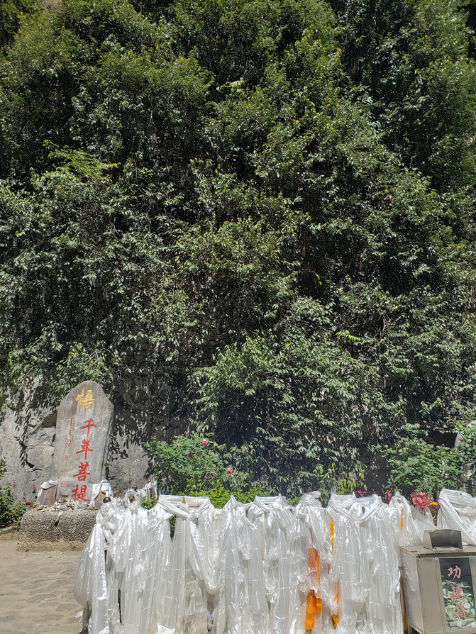 昆明旅游网