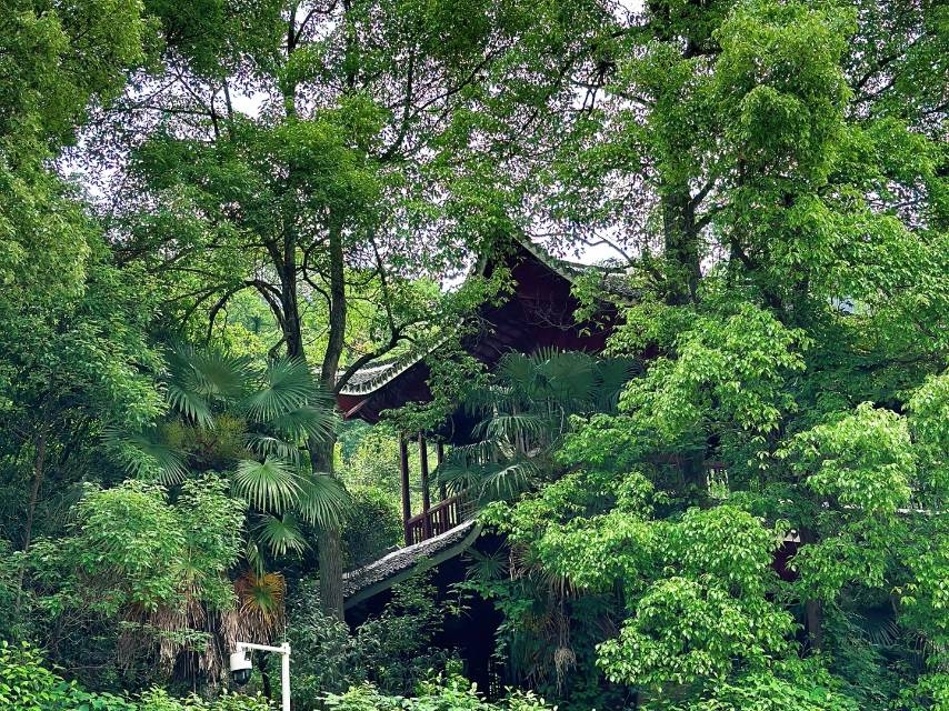 2-Day Huaihua & HongJiang Tour: Explore Forests and Ancient Cities, Discover Nature and History