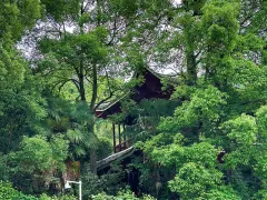 2-Day Huaihua & HongJiang Tour: Explore Forests and Ancient Cities, Discover Nature and History