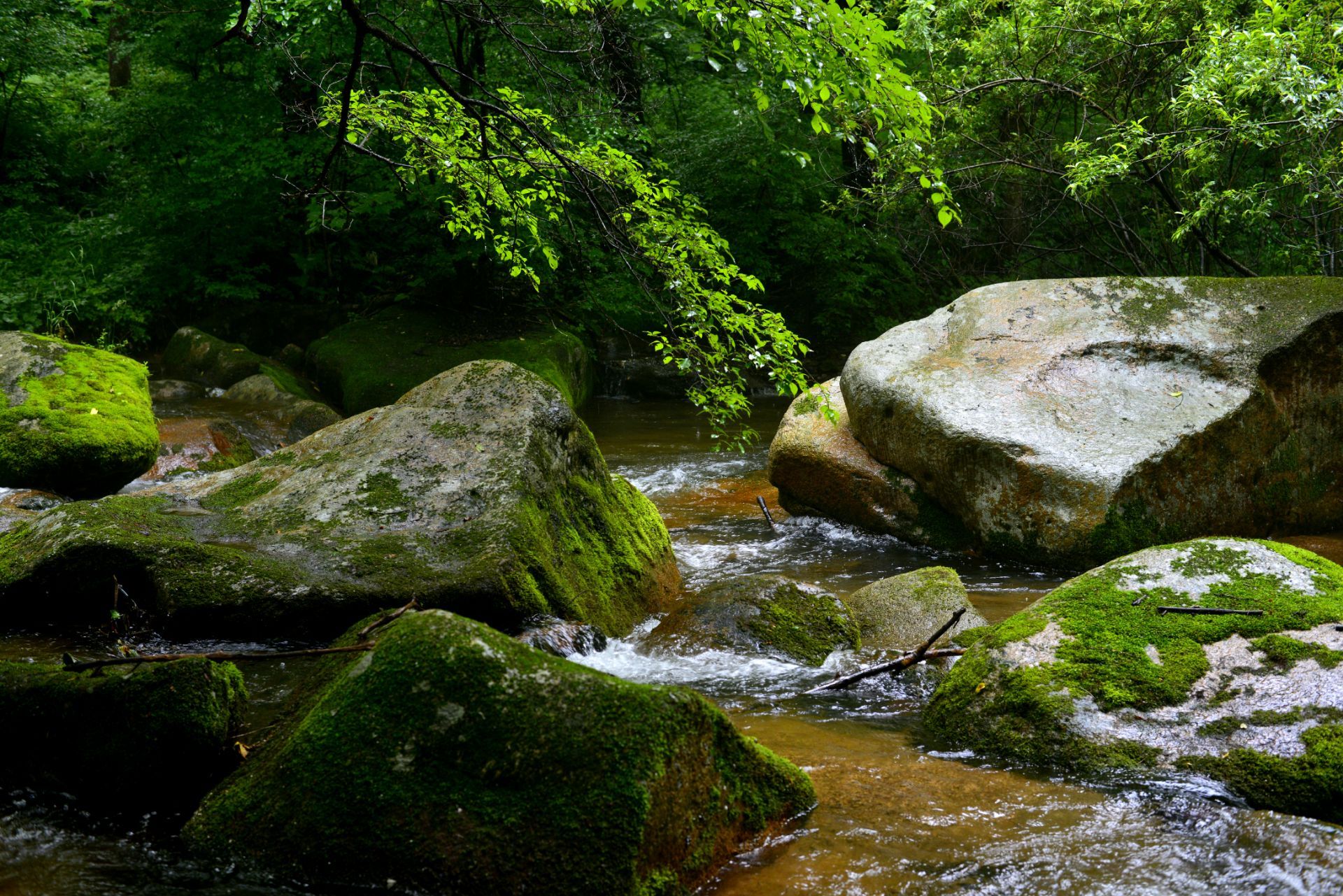 蛟河冰湖沟风景区图片