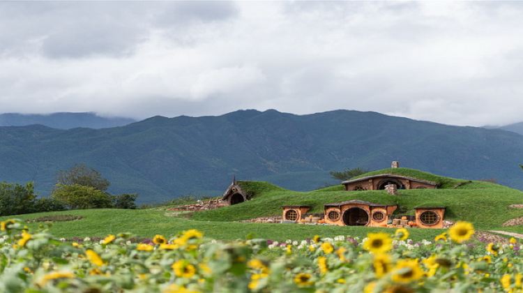听花谷-丽江百花园