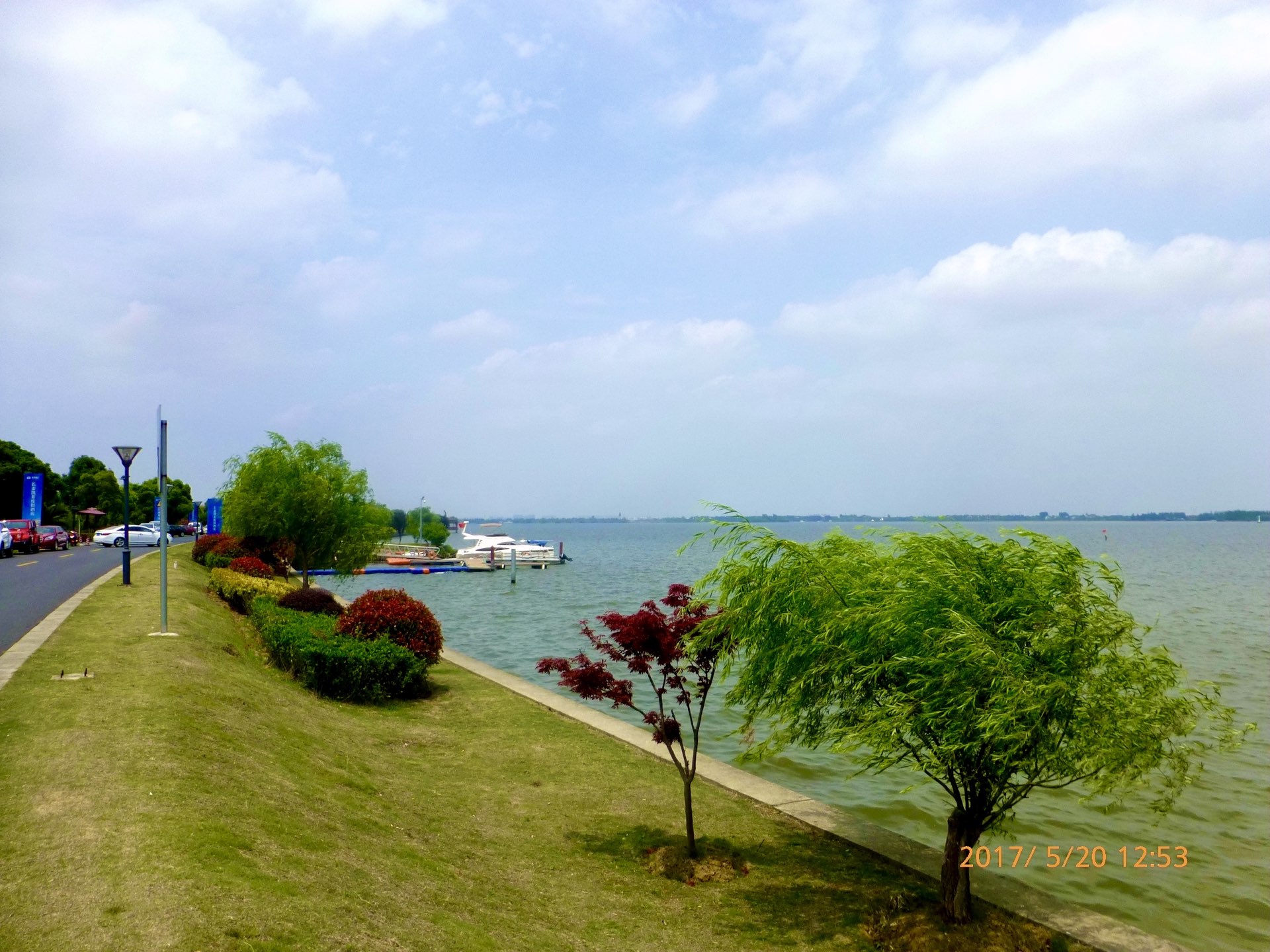 淀山湖大道风景区图片图片