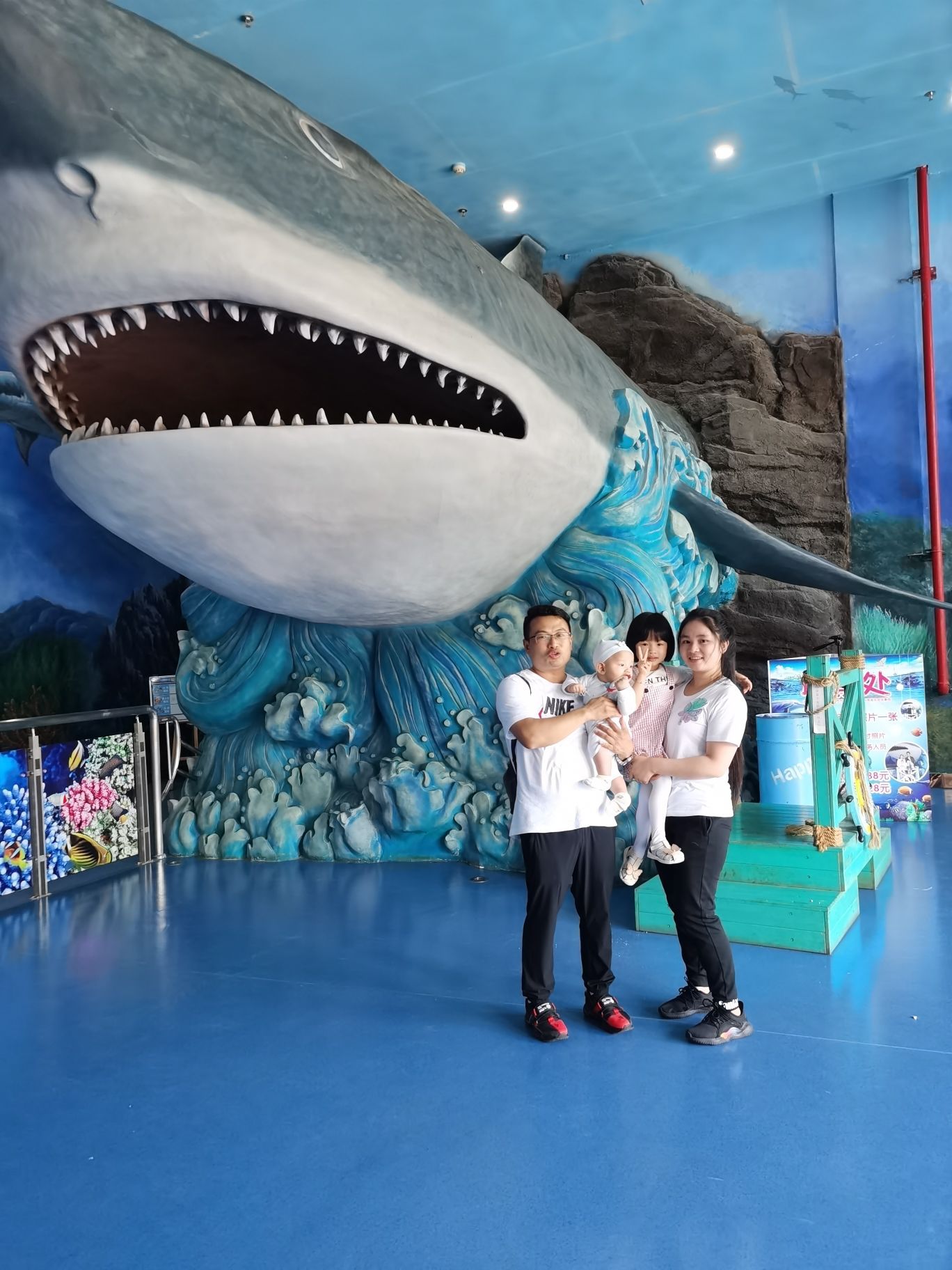 2022上海海昌海洋公园游玩攻略,赶紧拉着朋友来一组超级有感...【去哪儿攻略】