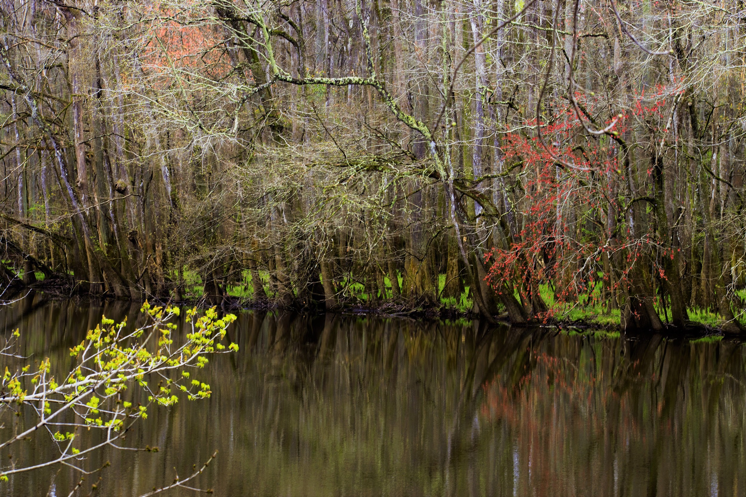 南卡罗来纳州key largo攻略,南卡罗来纳州key largo门票/游玩攻略