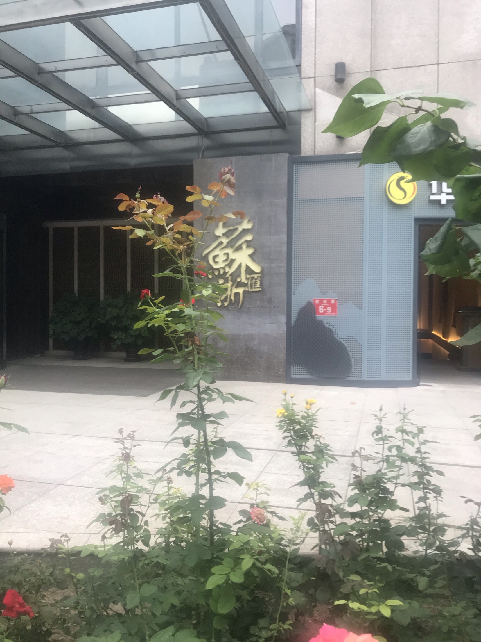 北京苏浙汇(朝外店)餐馆,以前办过一张苏浙汇的卡,但不