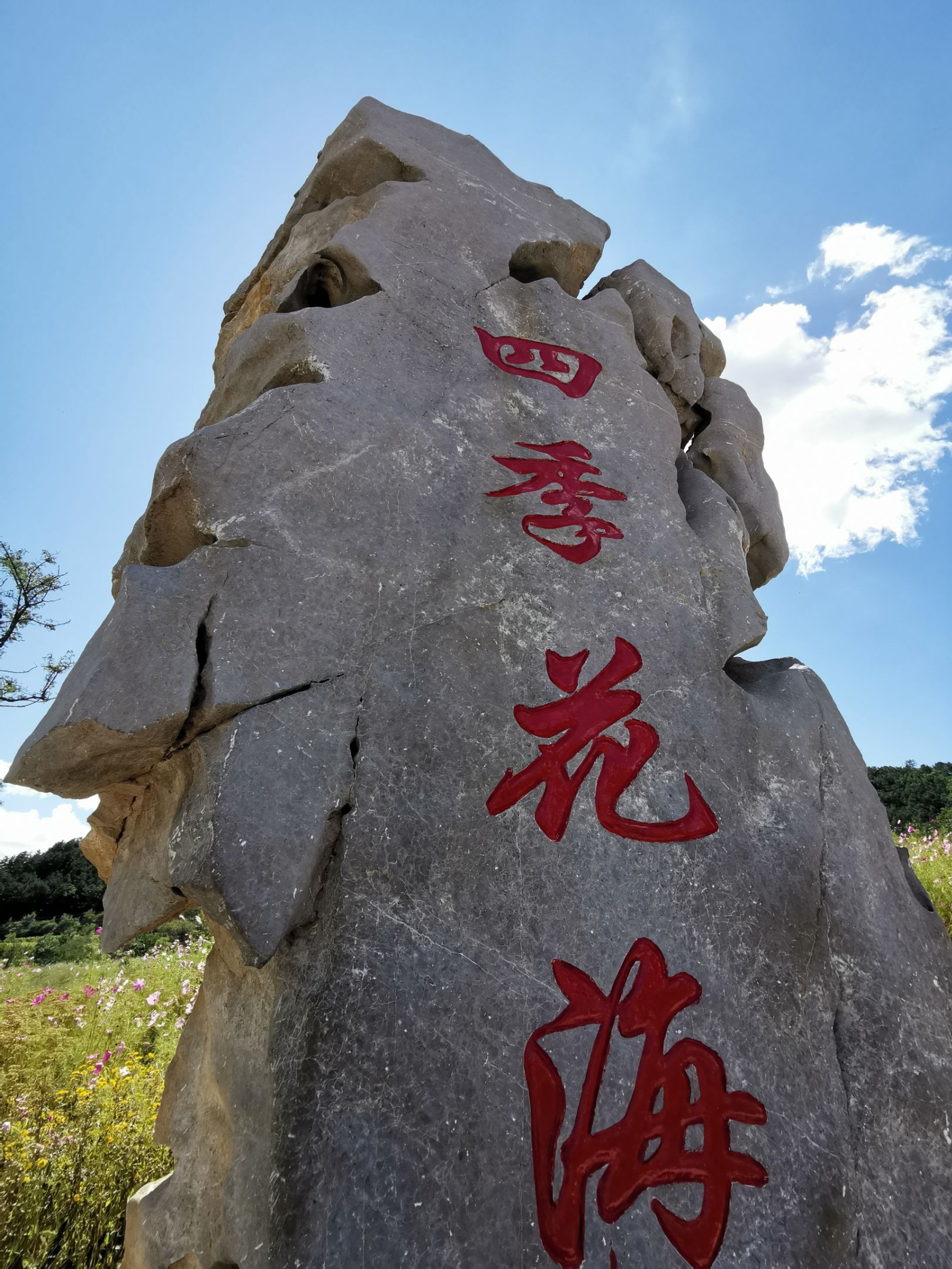 邻水石滓四季花海门票图片