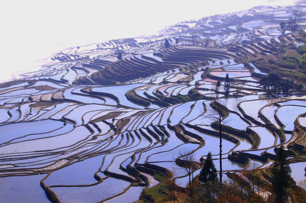昆明旅游网