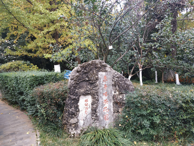 昆明旅游网